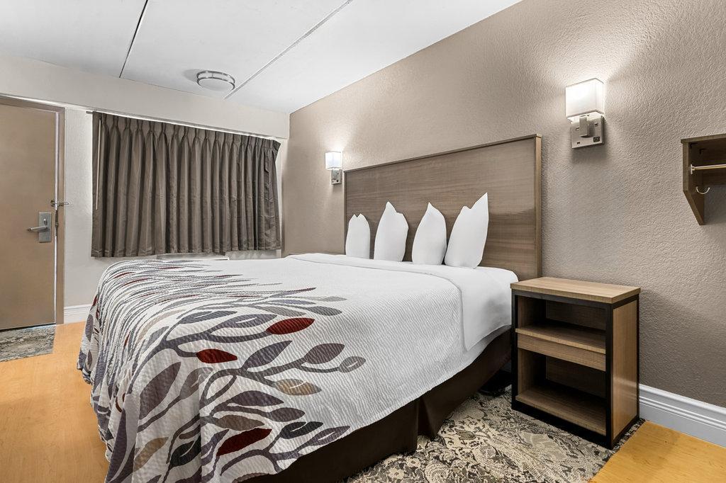Red Roof Inn Tampa Fairgrounds - Casino Mango Bagian luar foto